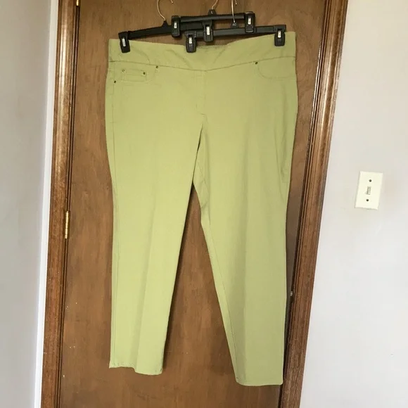 Ruby Rd pant new sage green slimming contour waistband pant 22W - Picture 14 of 17